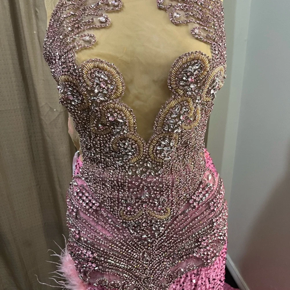Prom Dress (Pink) - Picture 3 of 13